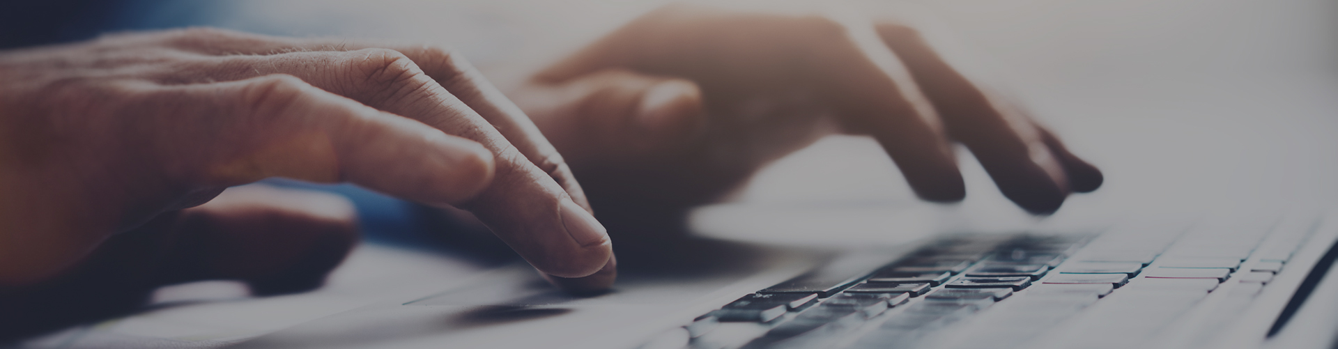 業(yè)務(wù)范圍 業(yè)務(wù)范圍